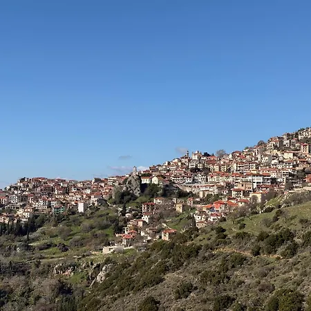 Σαλέ Delphi Gorge-view Chalet, Αράχωβα